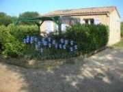 vigneron